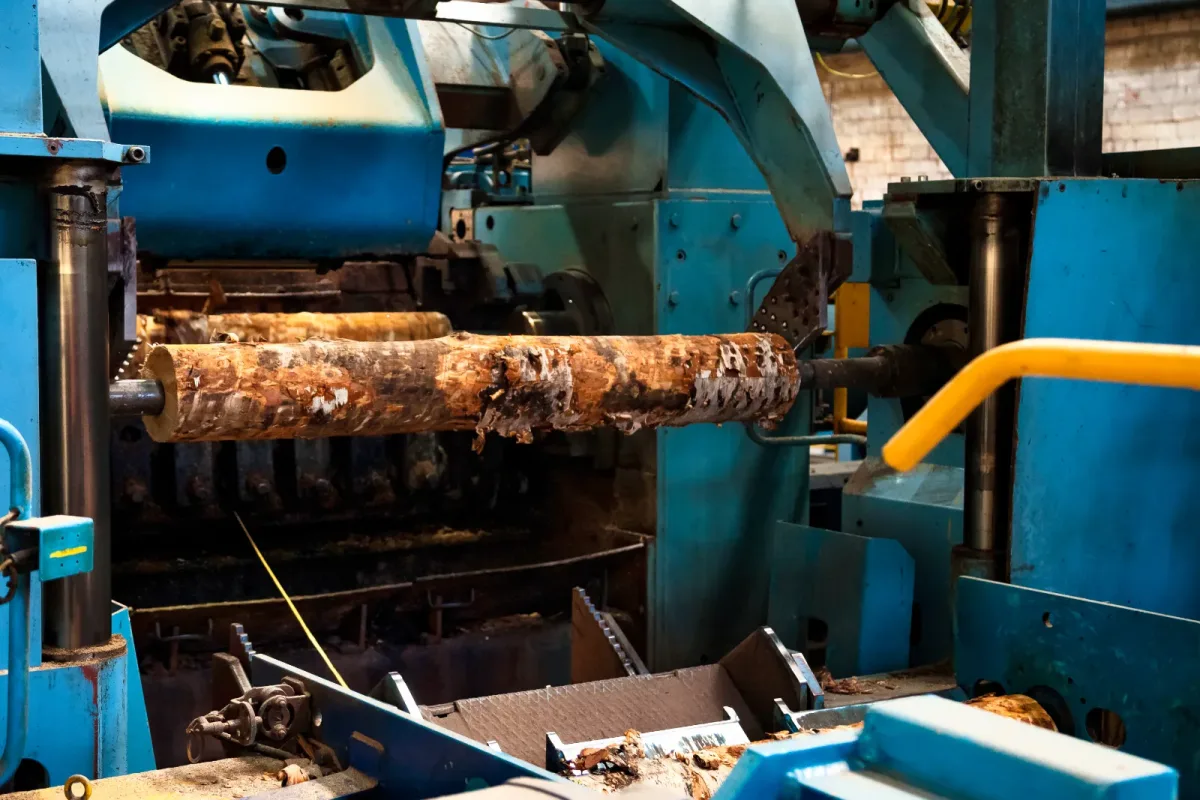 재미없는 산업이 사실 더 재미있다