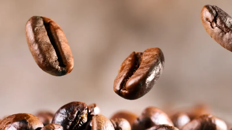 2026 카페 창업 트렌드 대전환