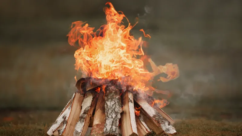 토스트 아웃 증후군