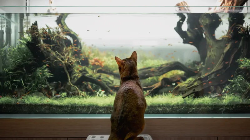 물속에서 피어나는 나만의 작은 정원