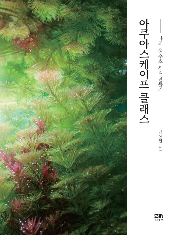 아쿠아스케이프 클래스