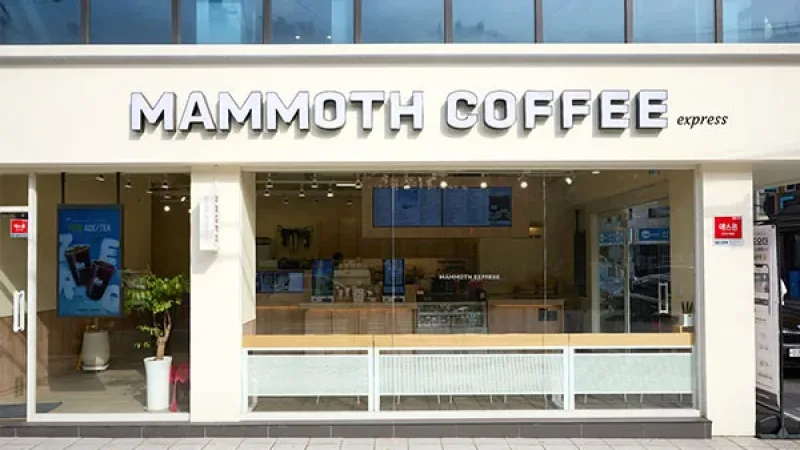 저가 커피 사모펀드 인수 열풍, 개인 창업자는 왜 더 위험해졌나